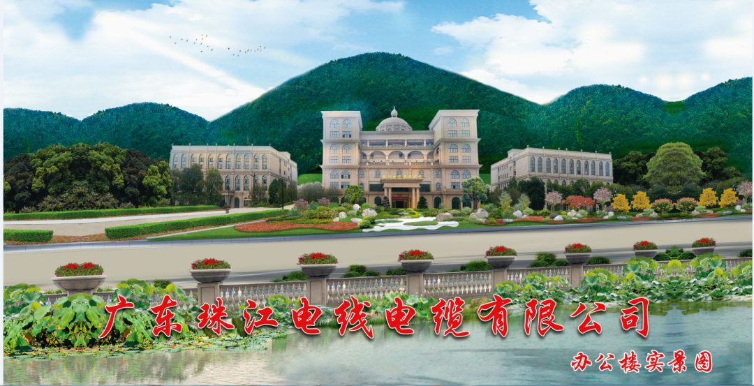 宝武钢铁集团向导专家莅临BC贷电缆旅行交流
